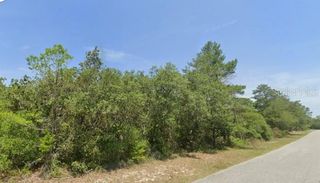 LOT 11 PERSIMMON STREET, Eustis, FL 32736