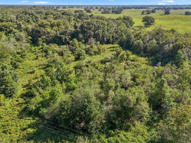 0 Bell Bottom Road, Cedar Lane, TX 77415