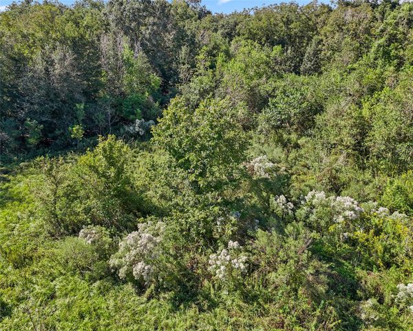 0 Bell Bottom Road, Cedar Lane, TX 77415