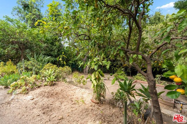 1843 Lucile Avenue, Los Angeles, CA 90026