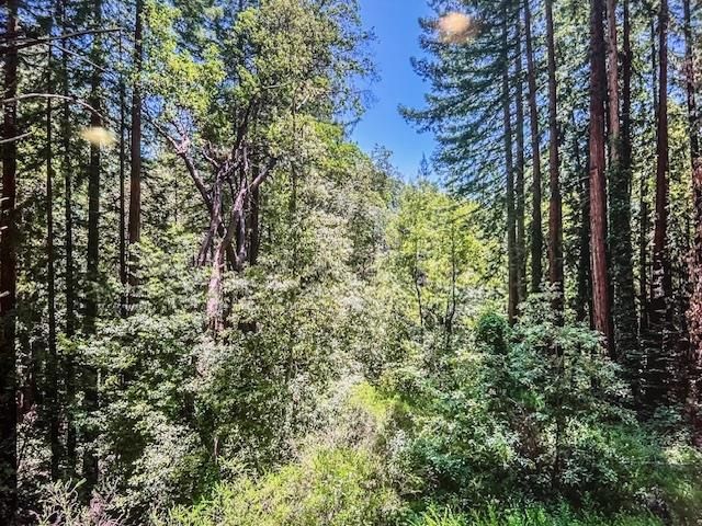 10374 Vera Avenue, Felton, CA 95018