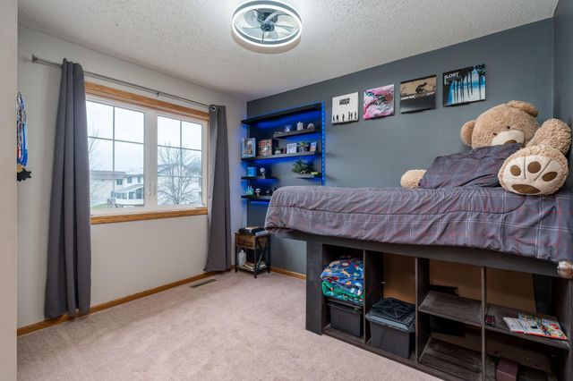 730 Debbie Lane, Carver, MN 55315