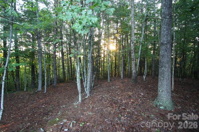 TBD Poplar Bluff Drive 36, Lenoir, NC 28645