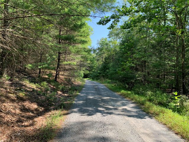 00 Lauren Court, Woodstock, NY 12498