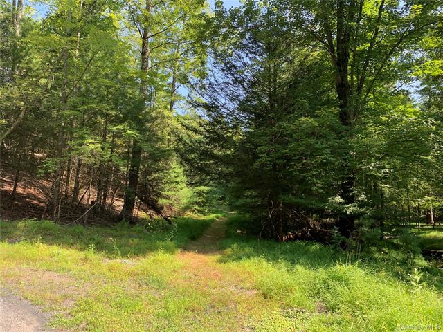 00 Lauren Court, Woodstock, NY 12498