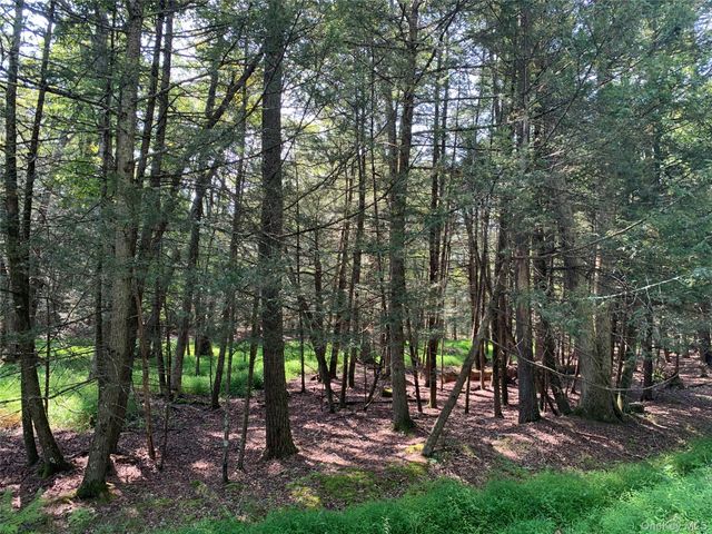 00 Lauren Court, Woodstock, NY 12498