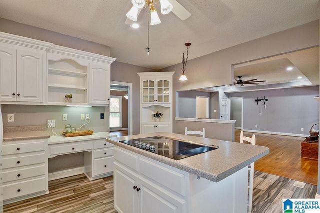 204 HICKORY HILL CIRCLE, Oneonta, AL 35121