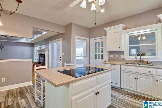 204 HICKORY HILL CIRCLE, Oneonta, AL 35121