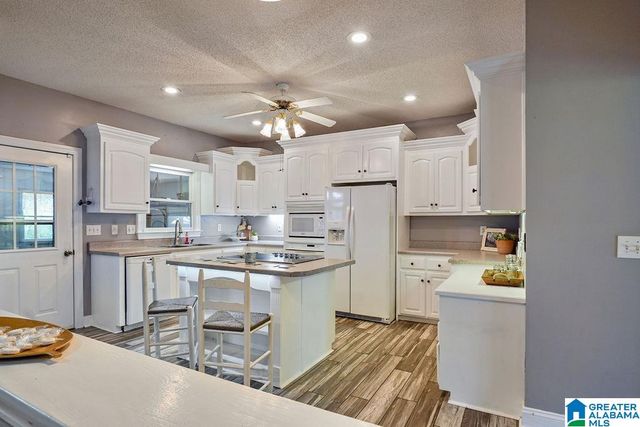 204 HICKORY HILL CIRCLE, Oneonta, AL 35121