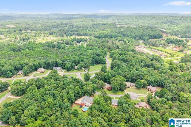 204 HICKORY HILL CIRCLE, Oneonta, AL 35121