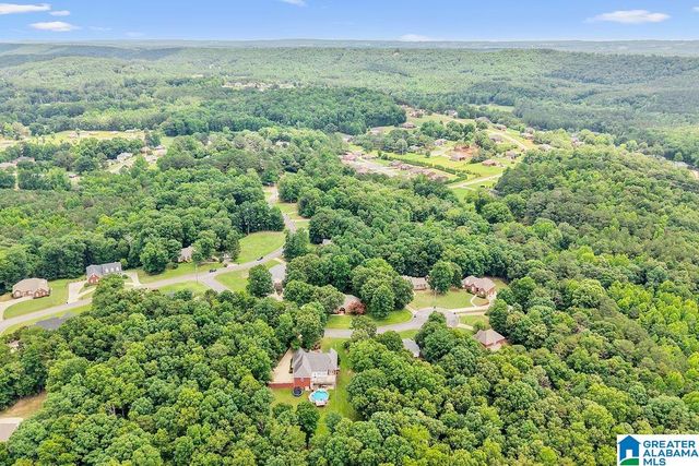 204 HICKORY HILL CIRCLE, Oneonta, AL 35121