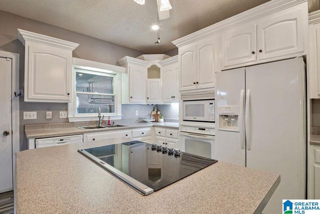204 HICKORY HILL CIRCLE, Oneonta, AL 35121