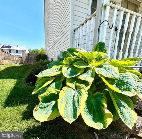 2544 ANDRIA CT, Atco, NJ 08004
