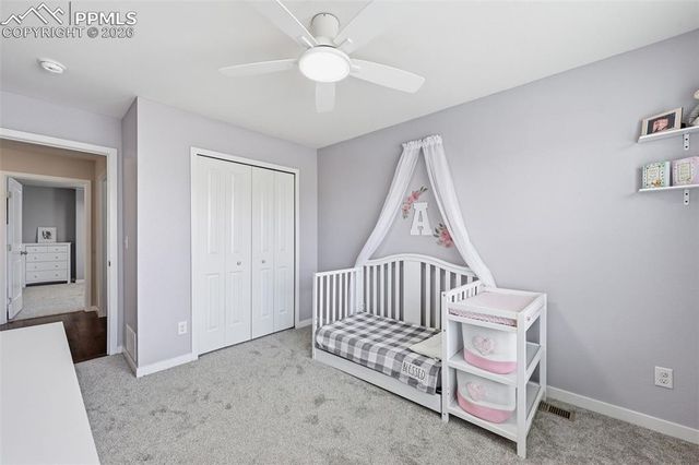 6565 Watusi Road, Peyton, CO 80831
