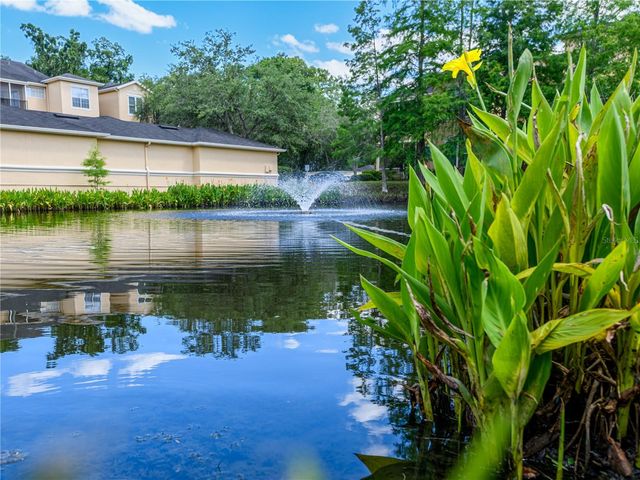 5125 PALM SPRINGS BOULEVARD 2206, Tampa, FL 33647