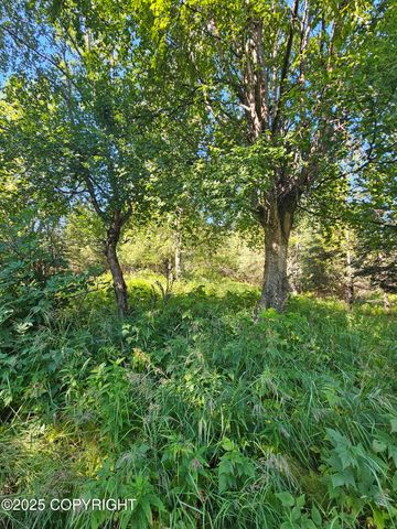 L8 Tolum Road, Kasilof, AK 99610