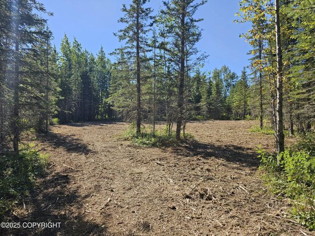 L8 Tolum Road, Kasilof, AK 99610