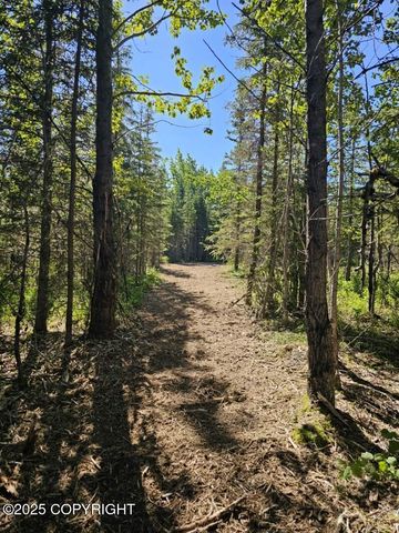 L8 Tolum Road, Kasilof, AK 99610