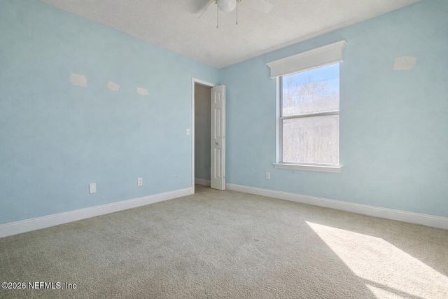 13858 SOFTWIND Trail N, Jacksonville, FL 32224