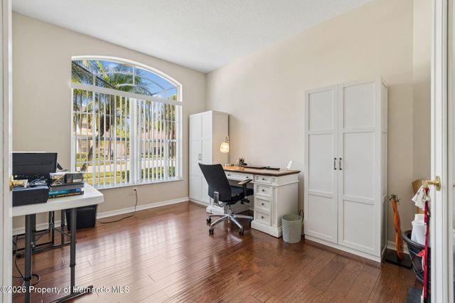 21314 Marsh Hawk Drive, Land O'lakes, FL 34638