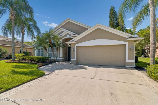 21314 Marsh Hawk Drive, Land O'lakes, FL 34638