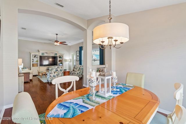 21314 Marsh Hawk Drive, Land O'lakes, FL 34638