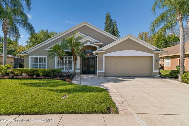 21314 Marsh Hawk Drive, Land O'lakes, FL 34638
