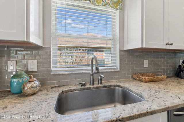 21314 Marsh Hawk Drive, Land O'lakes, FL 34638