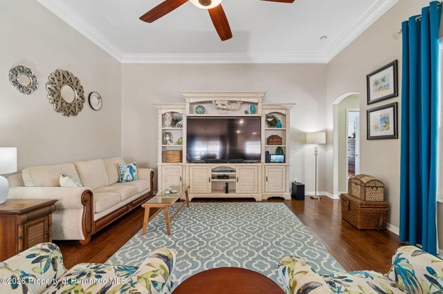21314 Marsh Hawk Drive, Land O'lakes, FL 34638