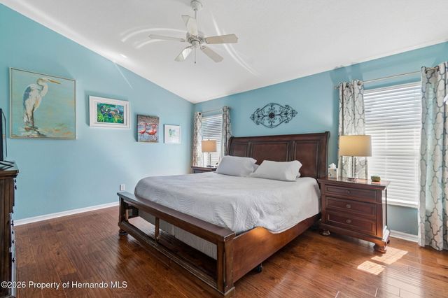 21314 Marsh Hawk Drive, Land O'lakes, FL 34638