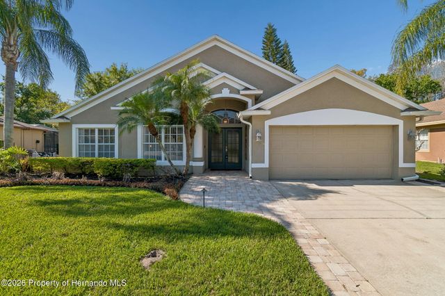 21314 Marsh Hawk Drive, Land O'lakes, FL 34638