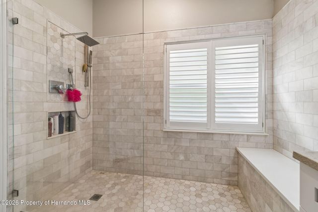 21314 Marsh Hawk Drive, Land O'lakes, FL 34638