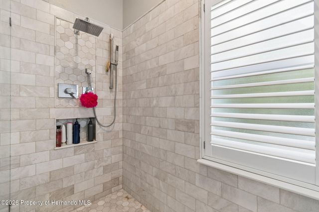 21314 Marsh Hawk Drive, Land O'lakes, FL 34638