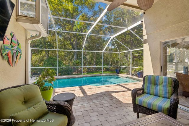21314 Marsh Hawk Drive, Land O'lakes, FL 34638