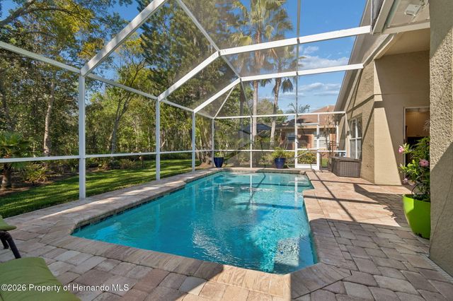 21314 Marsh Hawk Drive, Land O'lakes, FL 34638