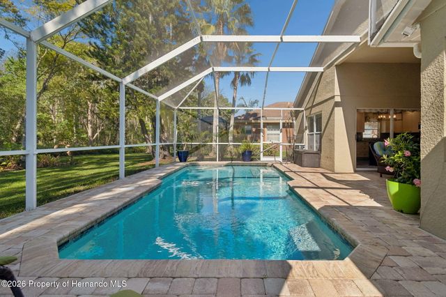 21314 Marsh Hawk Drive, Land O'lakes, FL 34638