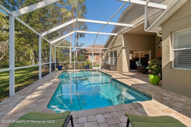21314 Marsh Hawk Drive, Land O'lakes, FL 34638