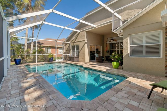 21314 Marsh Hawk Drive, Land O'lakes, FL 34638