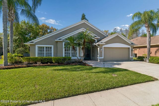 21314 Marsh Hawk Drive, Land O'lakes, FL 34638