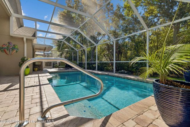 21314 Marsh Hawk Drive, Land O'lakes, FL 34638