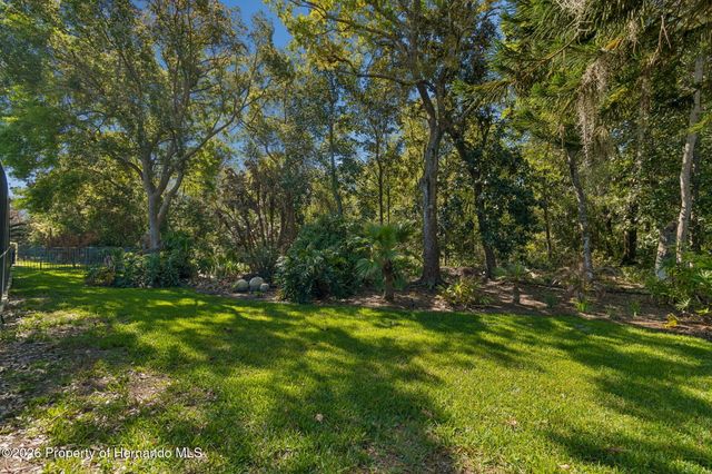 21314 Marsh Hawk Drive, Land O'lakes, FL 34638