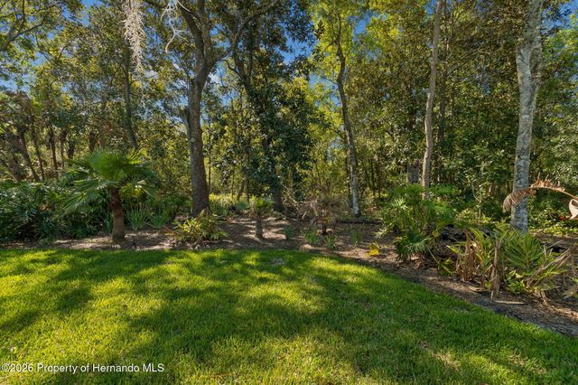 21314 Marsh Hawk Drive, Land O'lakes, FL 34638