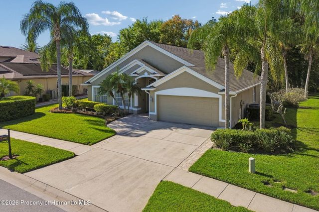 21314 Marsh Hawk Drive, Land O'lakes, FL 34638