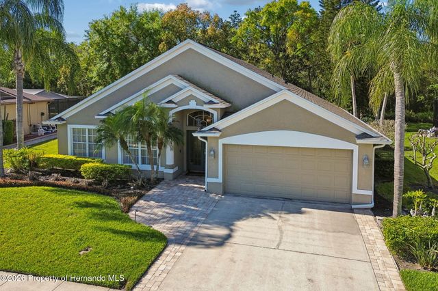 21314 Marsh Hawk Drive, Land O'lakes, FL 34638