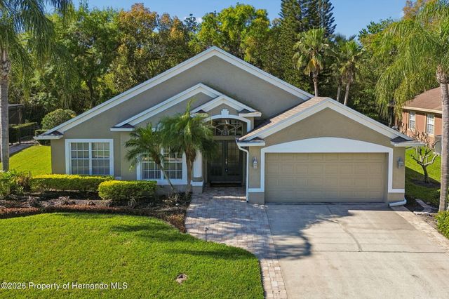 21314 Marsh Hawk Drive, Land O'lakes, FL 34638