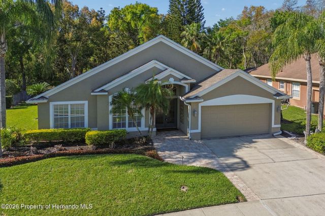 21314 Marsh Hawk Drive, Land O'lakes, FL 34638