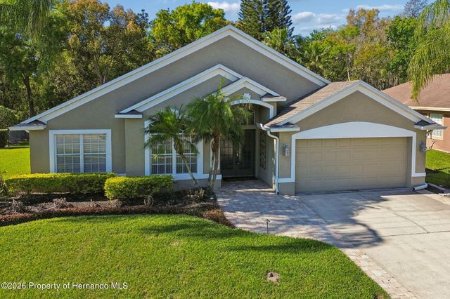 21314 Marsh Hawk Drive, Land O'lakes, FL 34638
