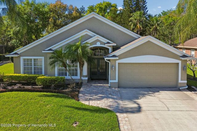 21314 Marsh Hawk Drive, Land O'lakes, FL 34638