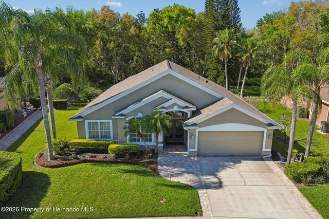 21314 Marsh Hawk Drive, Land O'lakes, FL 34638