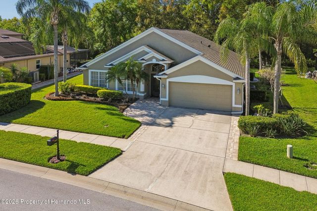21314 Marsh Hawk Drive, Land O'lakes, FL 34638
